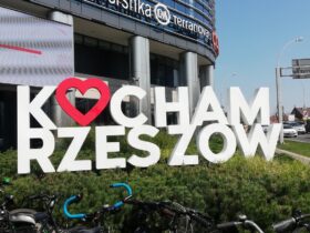 wyróżniające