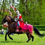 Rekonstrukcja historyczna. Mężczyzna w zbroi siedzący na koniu. W tle zielone drzewa.