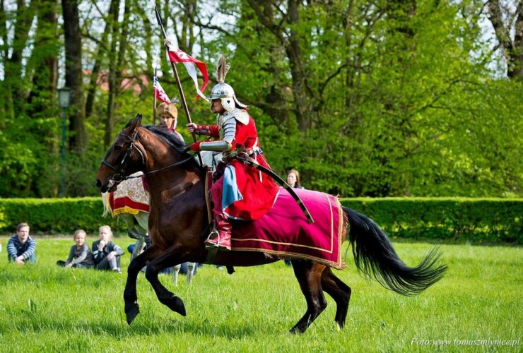 Rekonstrukcja historyczna. Mężczyzna w zbroi siedzący na koniu. W tle zielone drzewa.