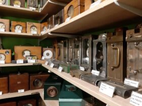 zegary gołębi kolekcja