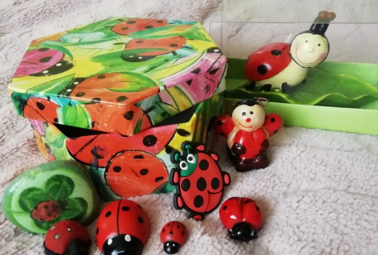 biedronki - kolekcja